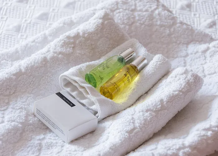 Imperial 公寓 托雷莫利诺斯